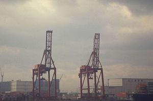 多彩なシーズニングスパイス活用術と選び方ガイド｜プロが教えるレシピと仕入れのコツ